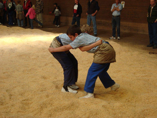 lutte corminboeuf 2010 092